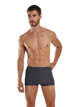 Cargar imagen en el visor de la galería, Model Front: Blueman Sunga / Boxer Sunga Berlim Colonia Cinza