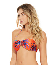 Cargar imagen en el visor de la galería, Image 02: Blueman Sostén Top Prestígio Noturnella