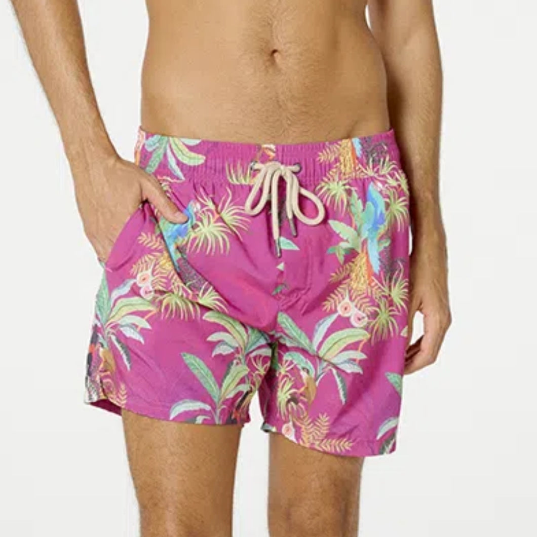 Gallery: Blueman Calzones De Baño /Bañador Short Mata